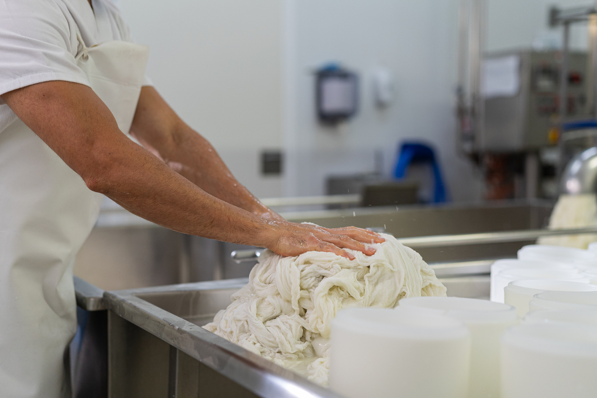 El Bucarito's cheesemaking process.jpg